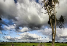 博洛尼亚客场失利，遭遇连败