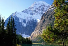 博洛尼亚客场失利，遭遇连败