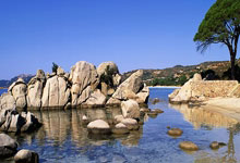 博洛尼亚客场失利，遭遇连败