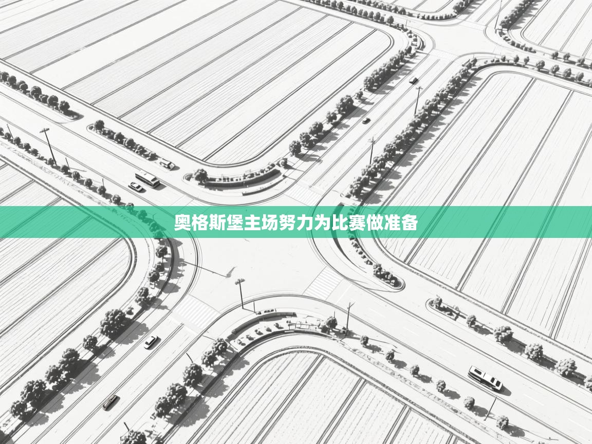 奥格斯堡主场努力为比赛做准备