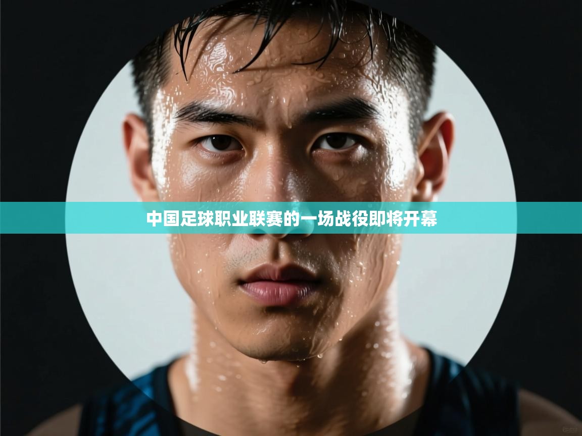 中国足球职业联赛的一场战役即将开幕  第2张