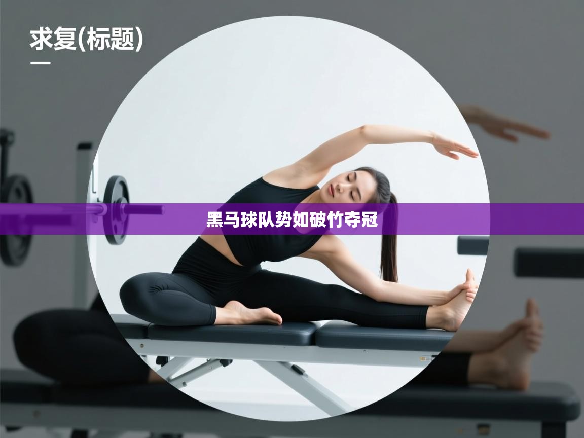 黑马球队势如破竹夺冠