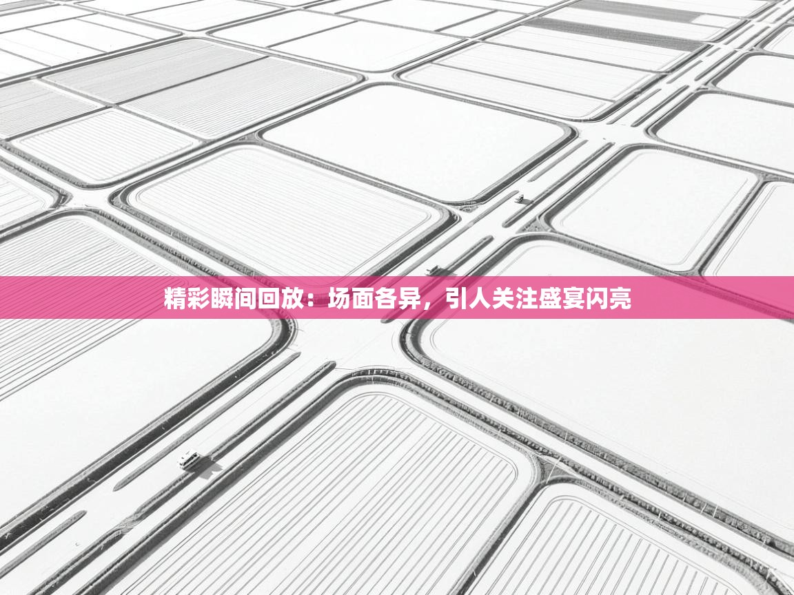 精彩瞬间回放:场面各异,引人关注盛宴闪亮 第1张