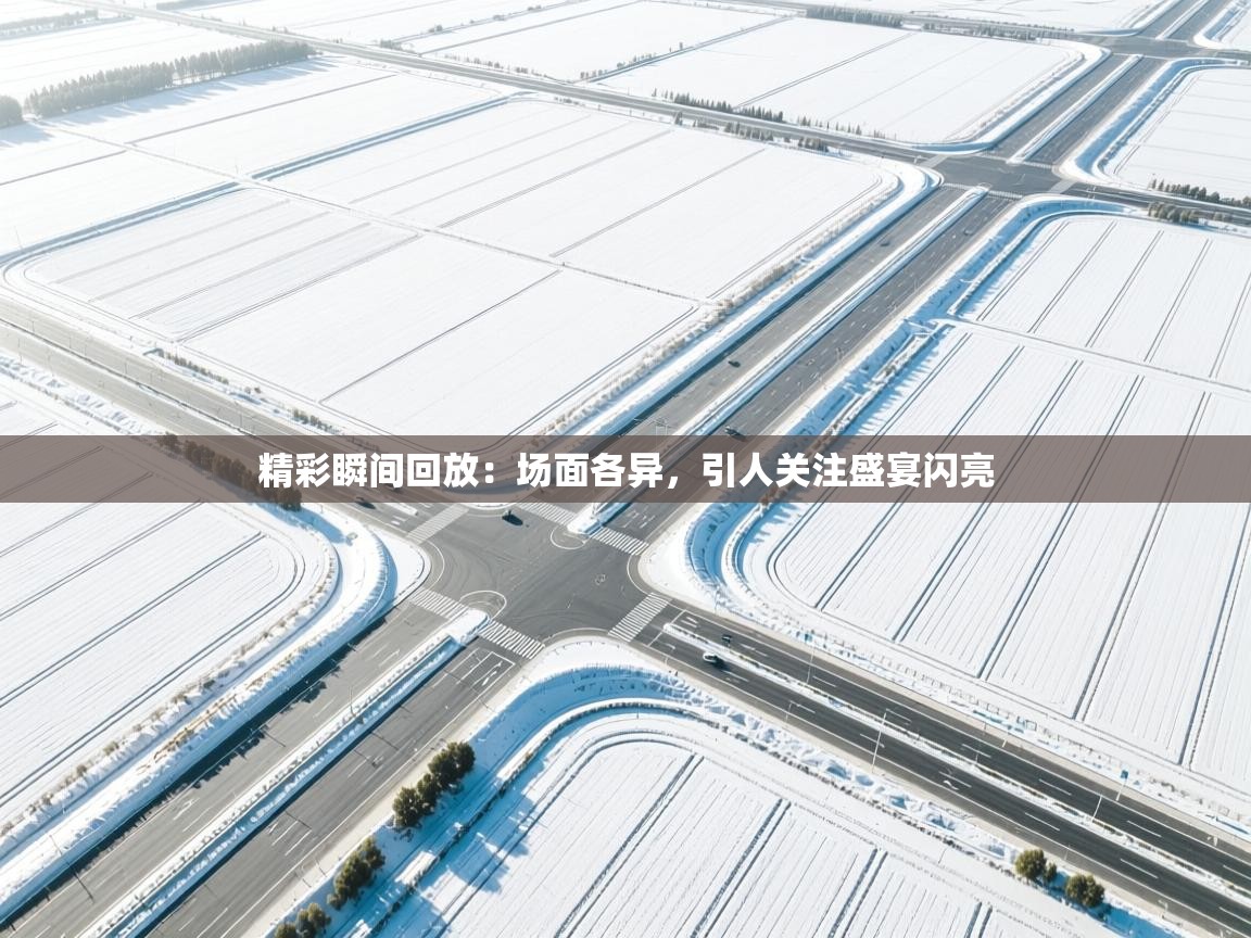 精彩瞬间回放:场面各异,引人关注盛宴闪亮 第2张